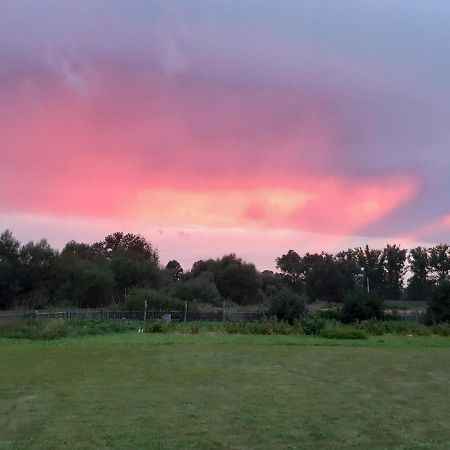 Agroturystyka Tam Gdzie Sosny Ścinawka Dolna Exterior foto