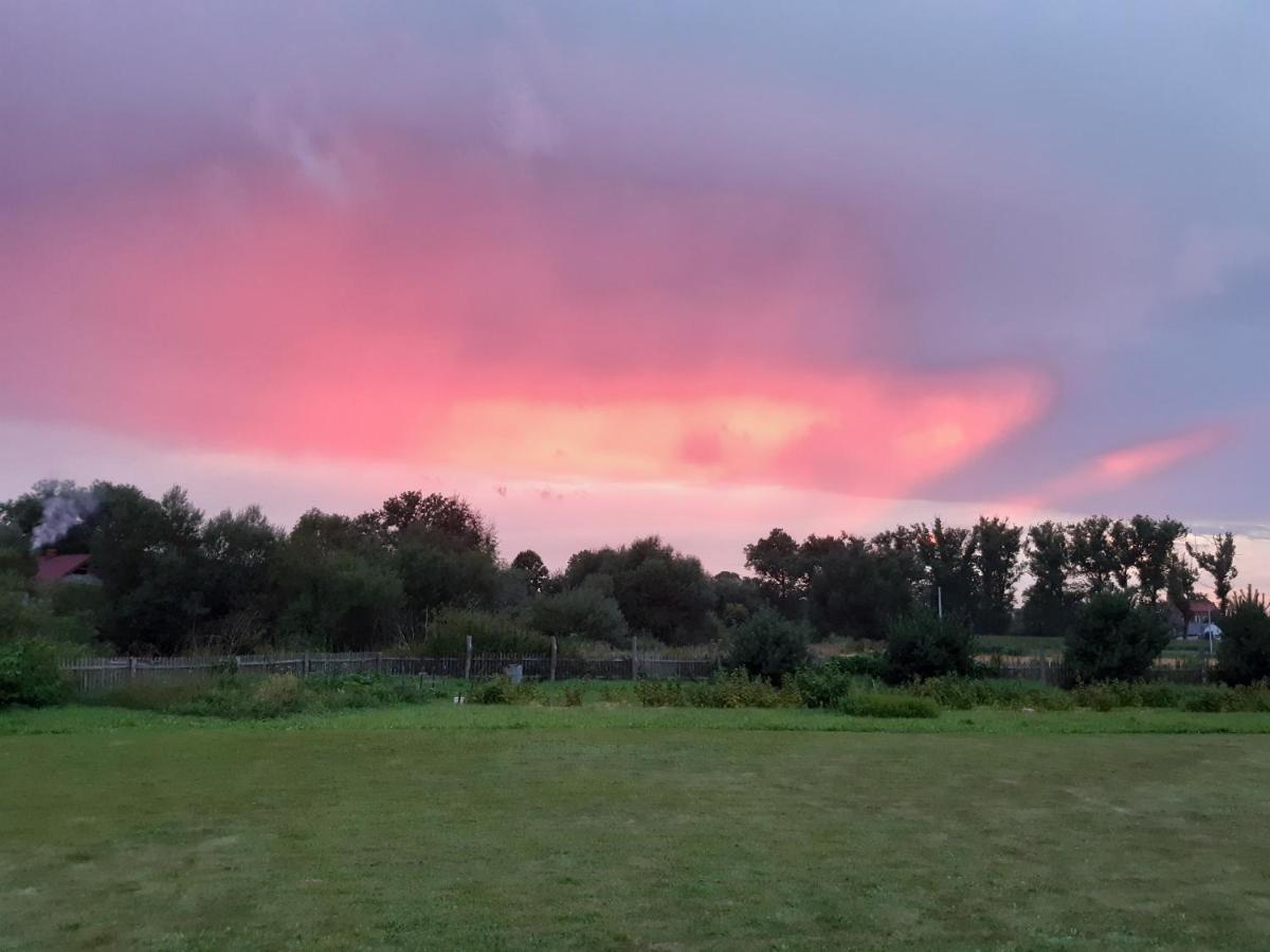 Agroturystyka Tam Gdzie Sosny Ścinawka Dolna Exterior foto